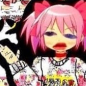 Meet your Posher, Posh